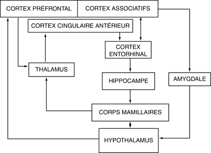 8: L’examen Clinique | Medicine Key