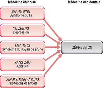 16: La Dépression | Medicine Key