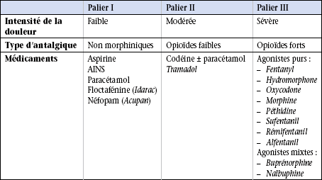 Les Antalgiques De Palier 3 Antalgique Liste Palier 1 2 Et 3 Les Antalgiques De Palier 3 Antalgique Liste Palier 1 2 Et 3