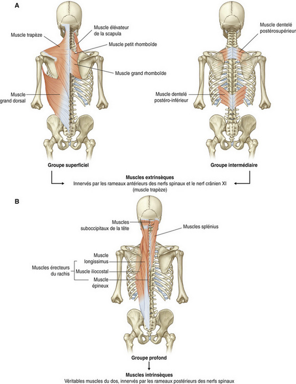 2: Dos | Medicine Key