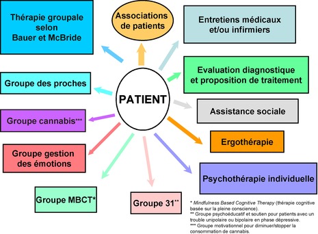 Programme De Soins Intégrés Et Programme D’objectifs Personnels ...